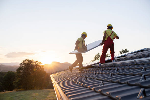 Best Skylight Installation and Repair  in Algoma, WI