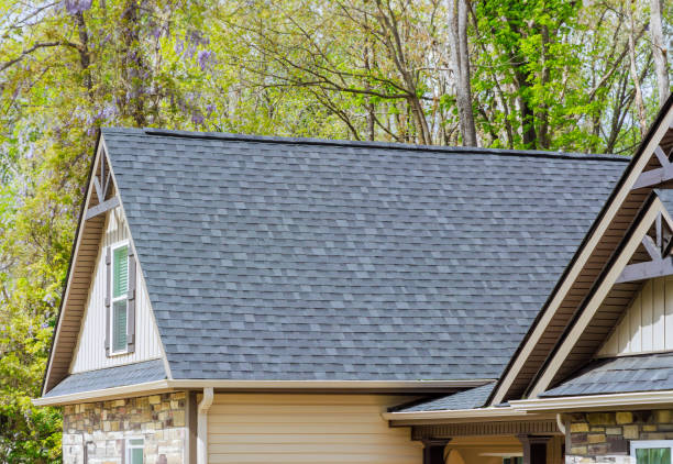 Best Roof Leak Repair  in Algoma, WI